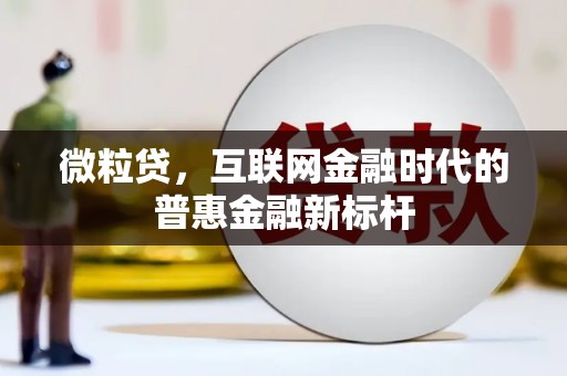 中坜微粒贷，互联网金融时代的普惠金融新标杆