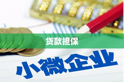 中坜贷款担保
