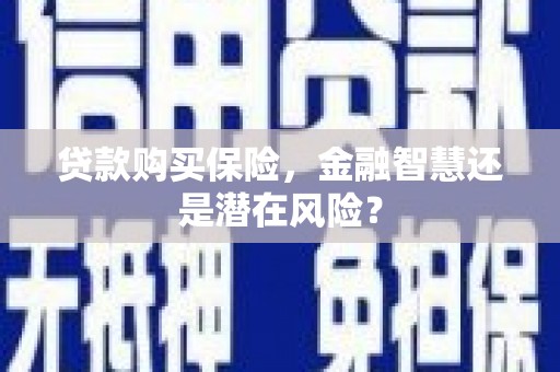 中坜贷款购买保险，金融智慧还是潜在风险？