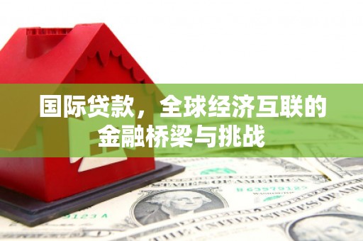 中坜国际贷款，全球经济互联的金融桥梁与挑战