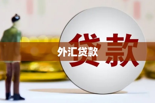 中坜外汇贷款