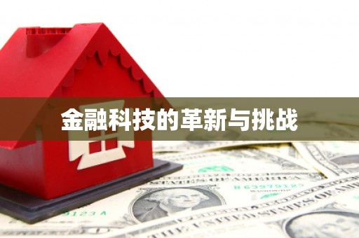 中坜金融科技的革新与挑战