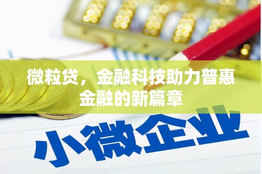 中坜微粒贷，金融科技助力普惠金融的新篇章
