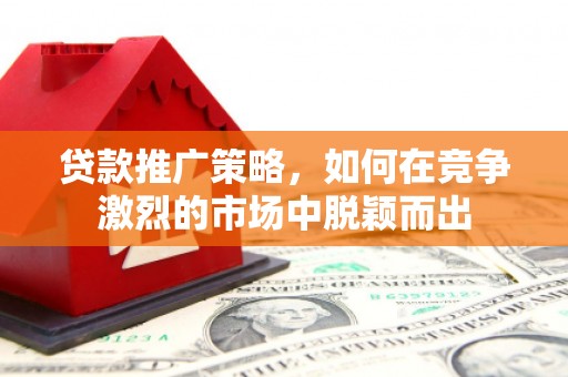中坜贷款推广策略，如何在竞争激烈的市场中脱颖而出
