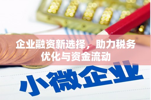 中坜企业融资新选择，助力税务优化与资金流动