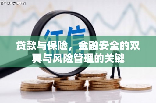 中坜贷款与保险，金融安全的双翼与风险管理的关键