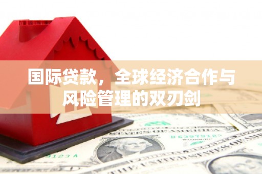 中坜国际贷款，全球经济合作与风险管理的双刃剑