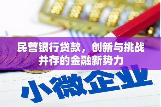 中坜民营银行贷款，创新与挑战并存的金融新势力