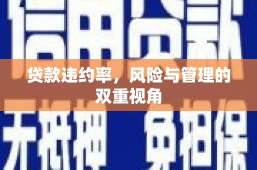 中坜贷款违约率，风险与管理的双重视角