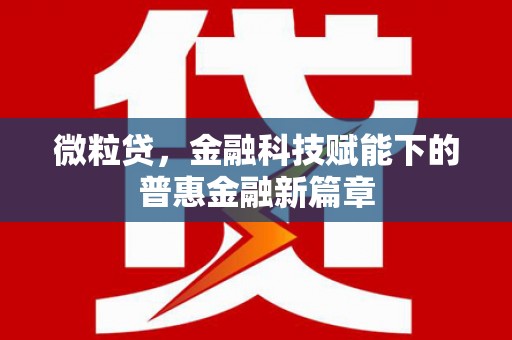 中坜微粒贷，金融科技赋能下的普惠金融新篇章