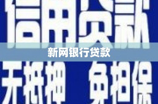 中坜新网银行贷款