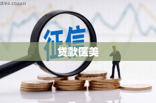 中坜贷款医美