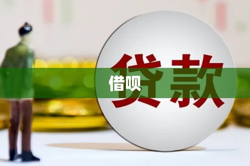 中坜借呗