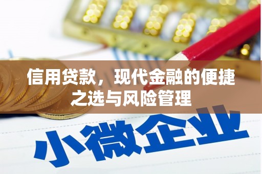 中坜信用贷款，现代金融的便捷之选与风险管理