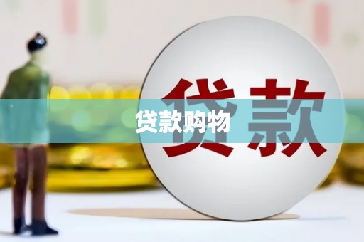 中坜贷款购物