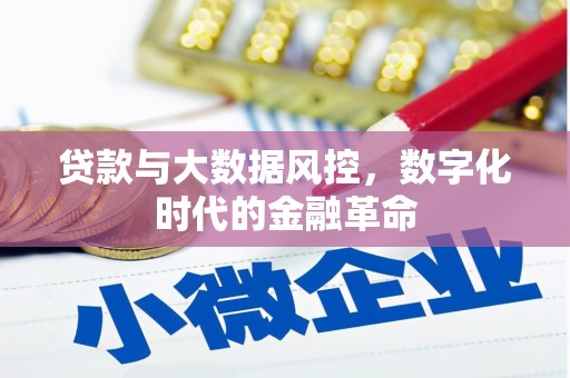 中坜贷款与大数据风控，数字化时代的金融革命