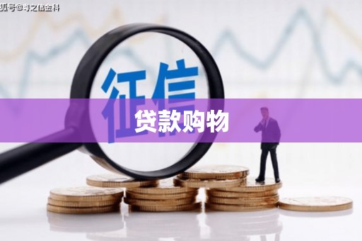 中坜贷款购物