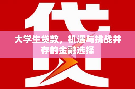 中坜大学生贷款，机遇与挑战并存的金融选择
