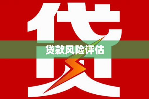 中坜贷款风险评估
