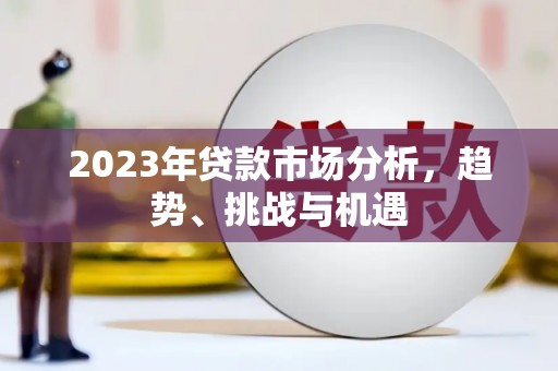 中坜2023年贷款市场分析，趋势、挑战与机遇