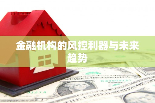 中坜金融机构的风控利器与未来趋势