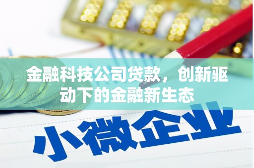 中坜金融科技公司贷款，创新驱动下的金融新生态