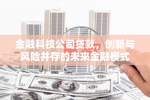 中坜金融科技公司贷款，创新与风险并存的未来金融模式