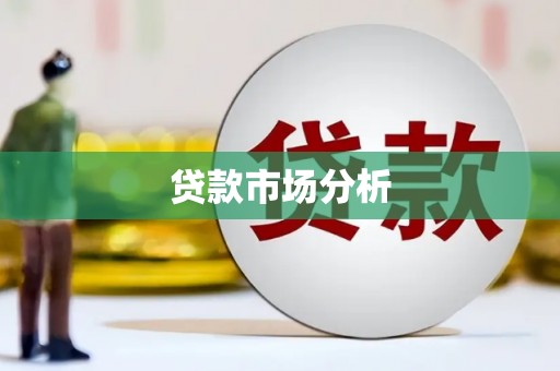 中坜贷款市场分析