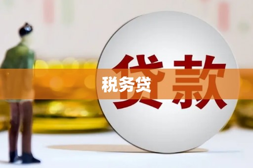 中坜税务贷