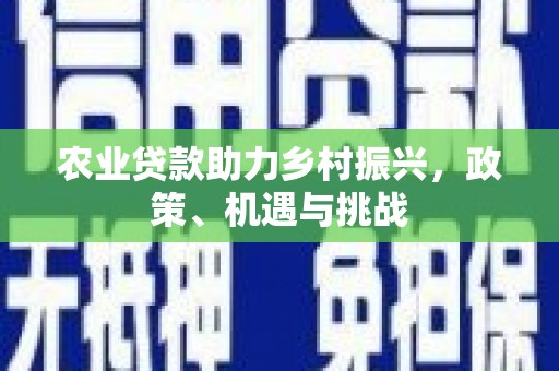 中坜农业贷款助力乡村振兴，政策、机遇与挑战