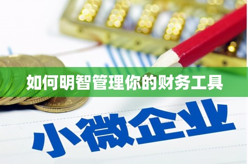 中坜如何明智管理你的财务工具