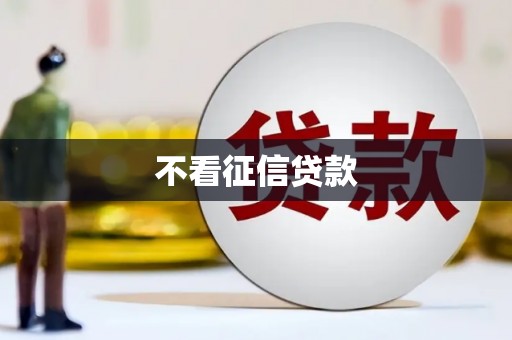 中坜不看征信贷款