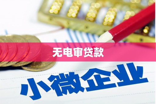 中坜无电审贷款