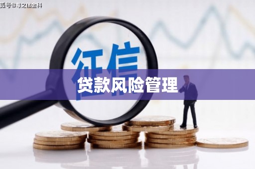 中坜贷款风险管理