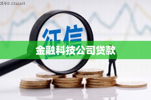 中坜金融科技公司贷款