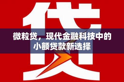 中坜微粒贷，现代金融科技中的小额贷款新选择