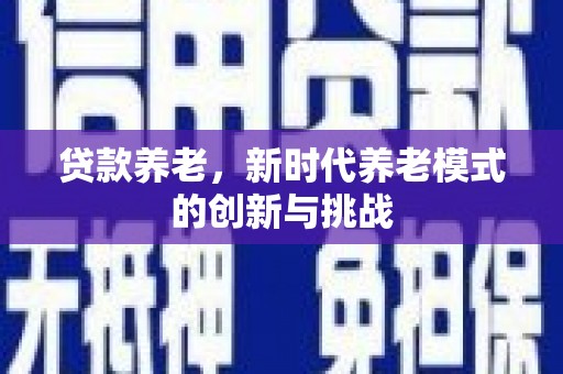 中坜贷款养老，新时代养老模式的创新与挑战