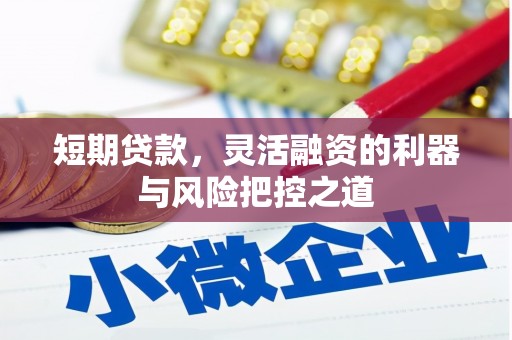 中坜短期贷款，灵活融资的利器与风险把控之道