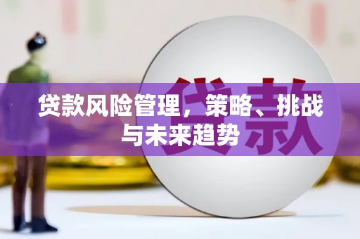 中坜贷款风险管理，策略、挑战与未来趋势
