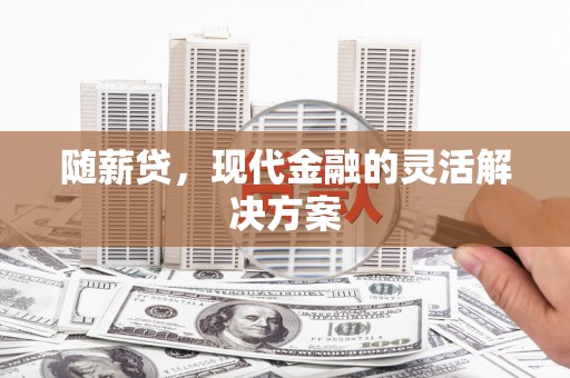 中坜随薪贷，现代金融的灵活解决方案