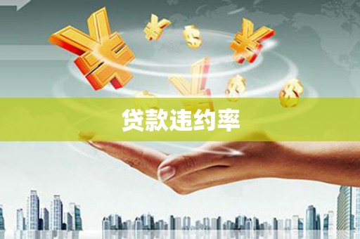 中坜贷款违约率