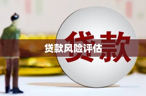 中坜贷款风险评估
