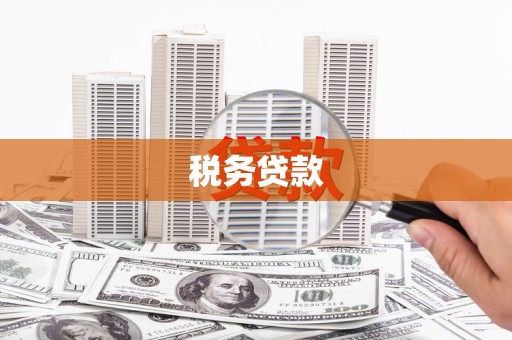 中坜税务贷款