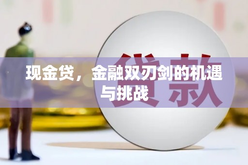 中坜现金贷，金融双刃剑的机遇与挑战