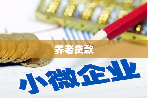 中坜养老贷款
