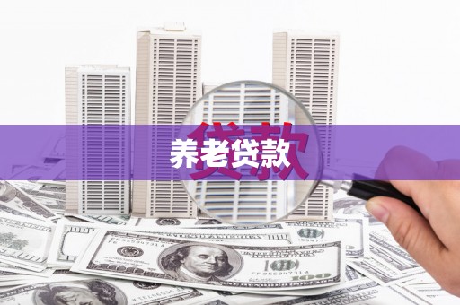 中坜养老贷款