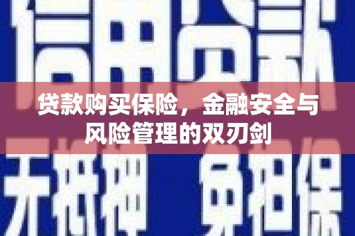 中坜贷款购买保险，金融安全与风险管理的双刃剑