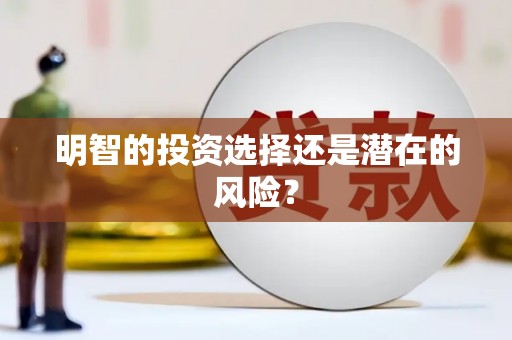 中坜明智的投资选择还是潜在的风险？