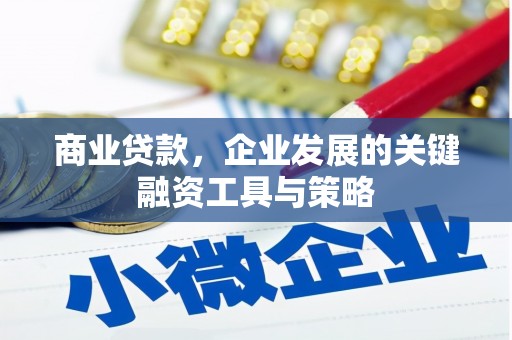 中坜商业贷款，企业发展的关键融资工具与策略