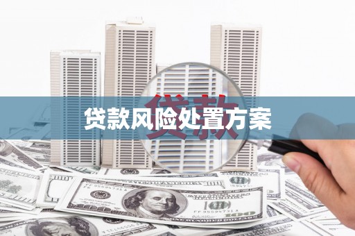 中坜贷款风险处置方案